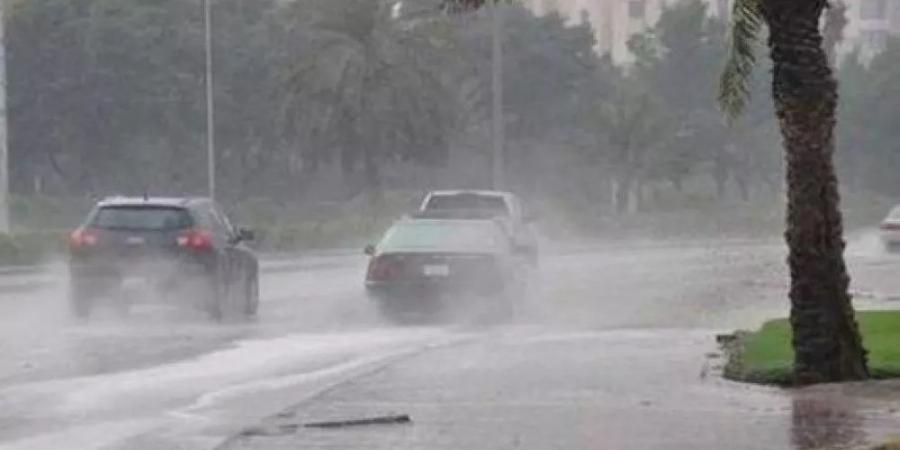 أمطار غزيرة ورياح وتساقط البرد على أجزاء من 3 مناطق - تواصل نيوز