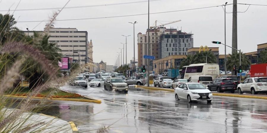 طقس الشرقية.. أمطار خفيفة على العديد وأتربة في حفر الباطن - تواصل نيوز