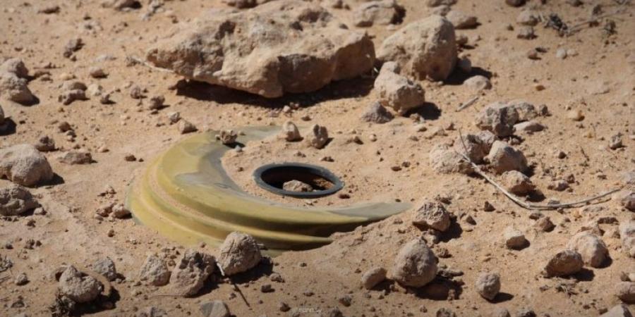 إصابة جنديين من الجيش السوري بانفجار لغم في ريف ‌‏الرقة - تواصل نيوز