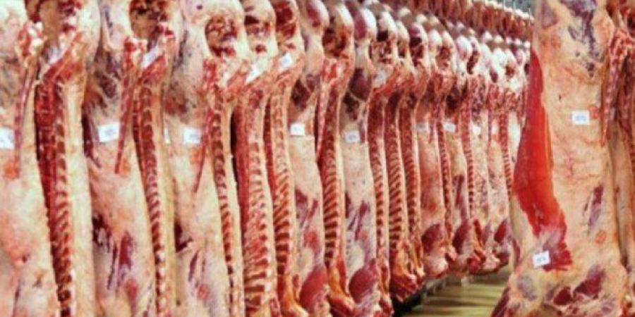 أسعار اللحوم اليوم الخميس 22 أكتوبر في الأسواق.. الكندوز بـ 280 جنيهًا - تواصل نيوز