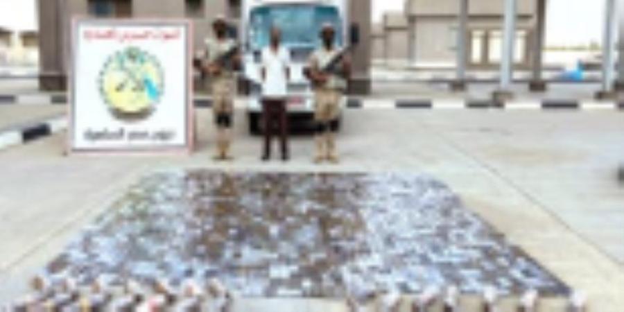 قوات حرس الحدود تواصل توجيه ضرباتها القاصمة للمهربين والعناصر الإجرامية على كافة الإتجاهات الإستراتيجية للدولة - تواصل نيوز