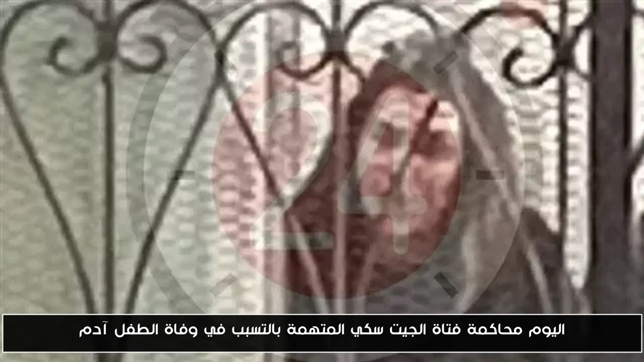 اليوم: بدء محاكمة فتاة الجيت سكي في قضية وفاة الطفل آدم