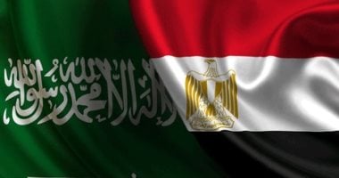 نائبة تؤكد: الشراكة المصرية السعودية عنصر أساسي لاستقرار المنطقة وحماية الأمن القومي العربي