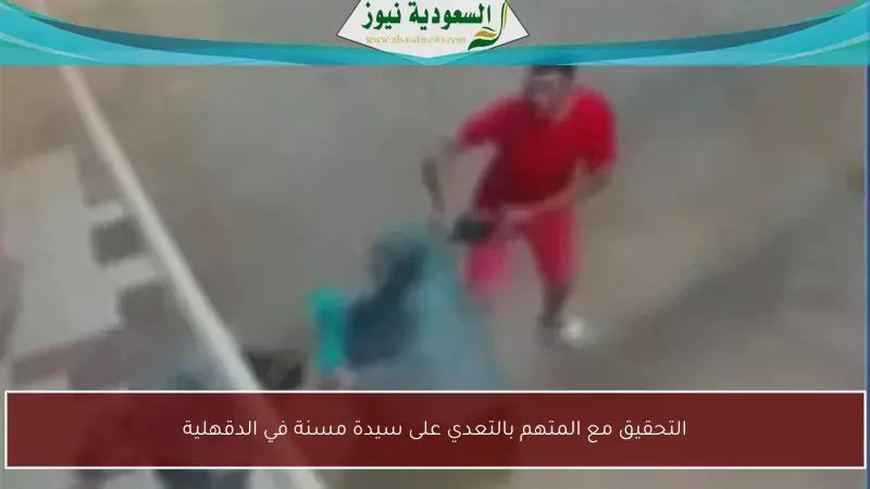 تحقيقات موسعة مع متهم بالتعدي على سيدة مسنّة في الدقهلية