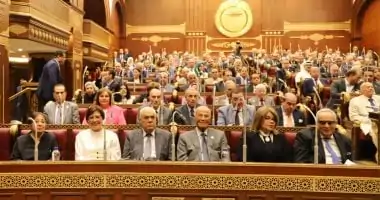 النائب أحمد سمير: العلاقات المصرية السعودية هي ركيزة الأمة وضمانة استقرار المنطقة
