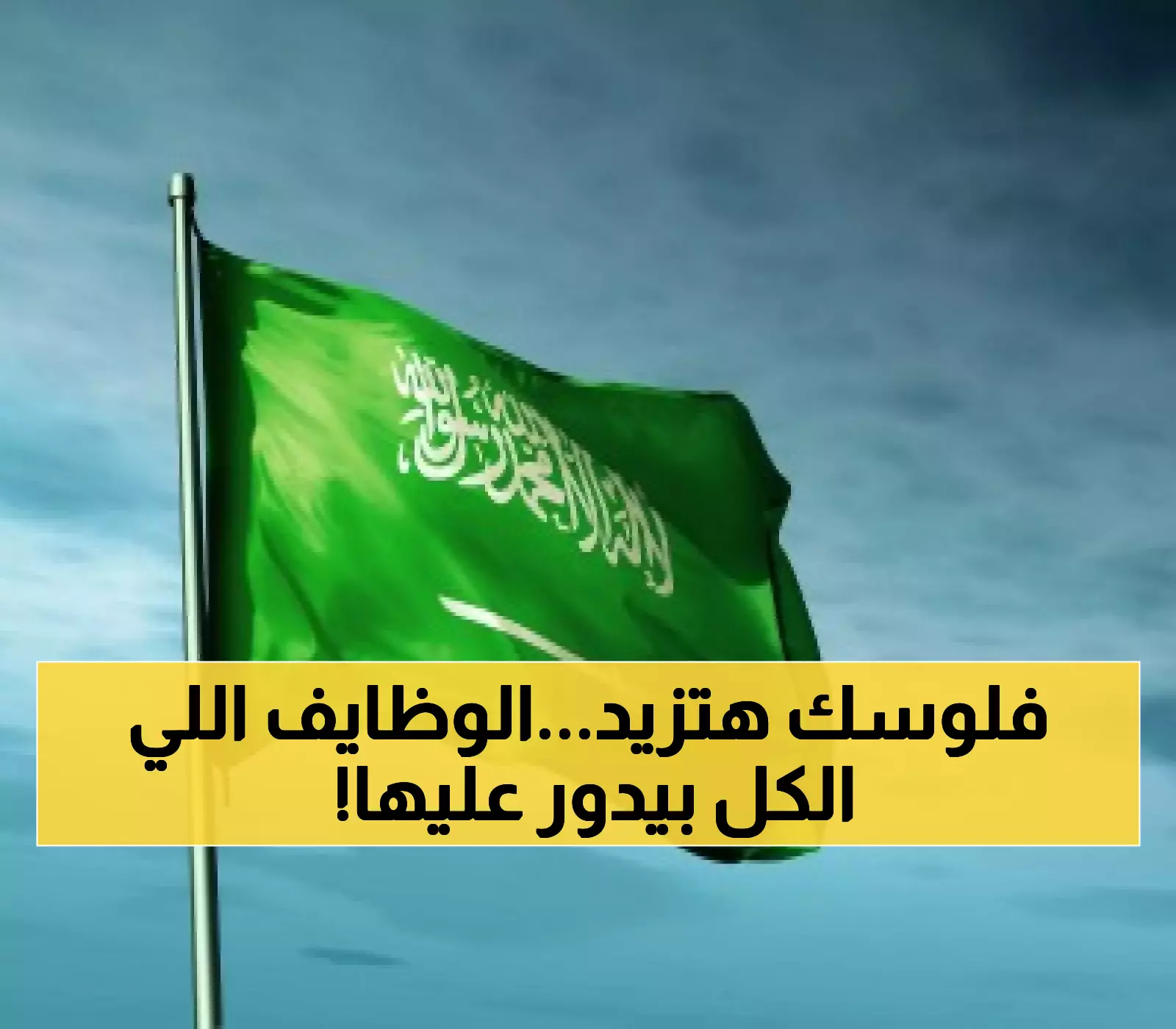 فرصة ذهبية: وظائف في السعودية برواتب تصل إلى 8 آلاف ريال!