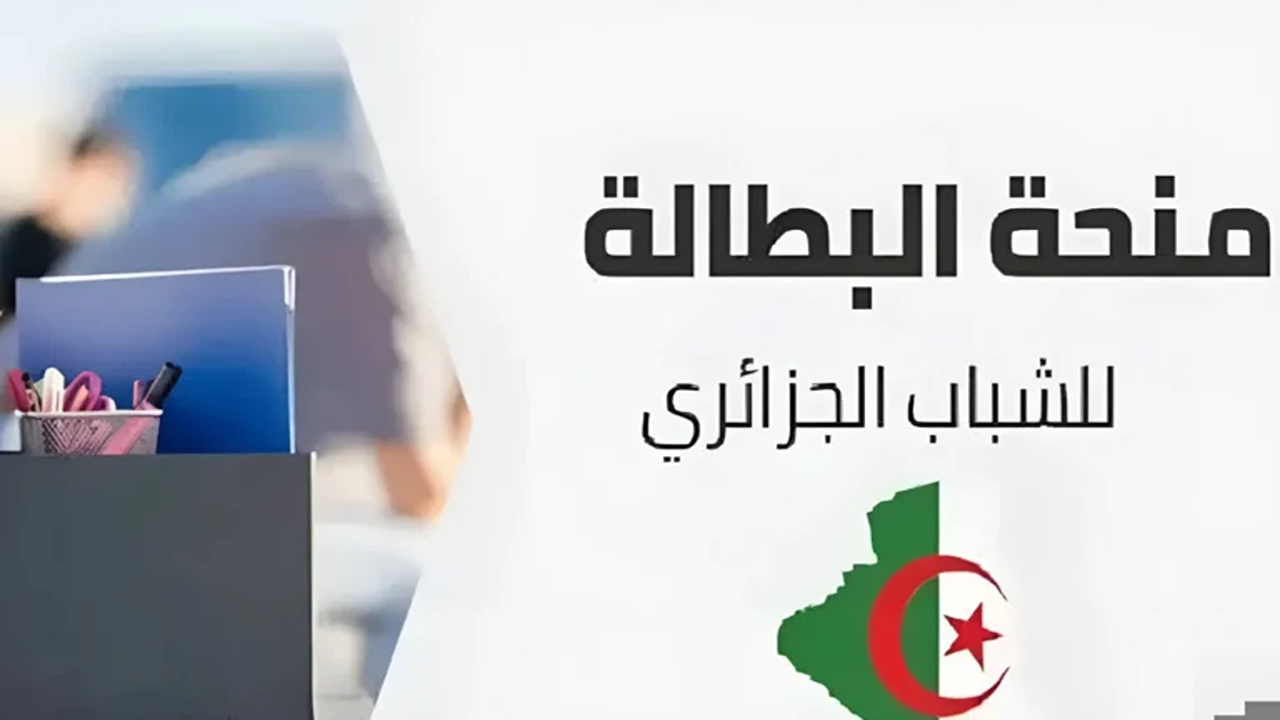 «اونلاين».. تجديد منحة البطالة 2025 في الجزائر عبر الرابط المباشر والشروط الكاملة للاستفادة المستمرة