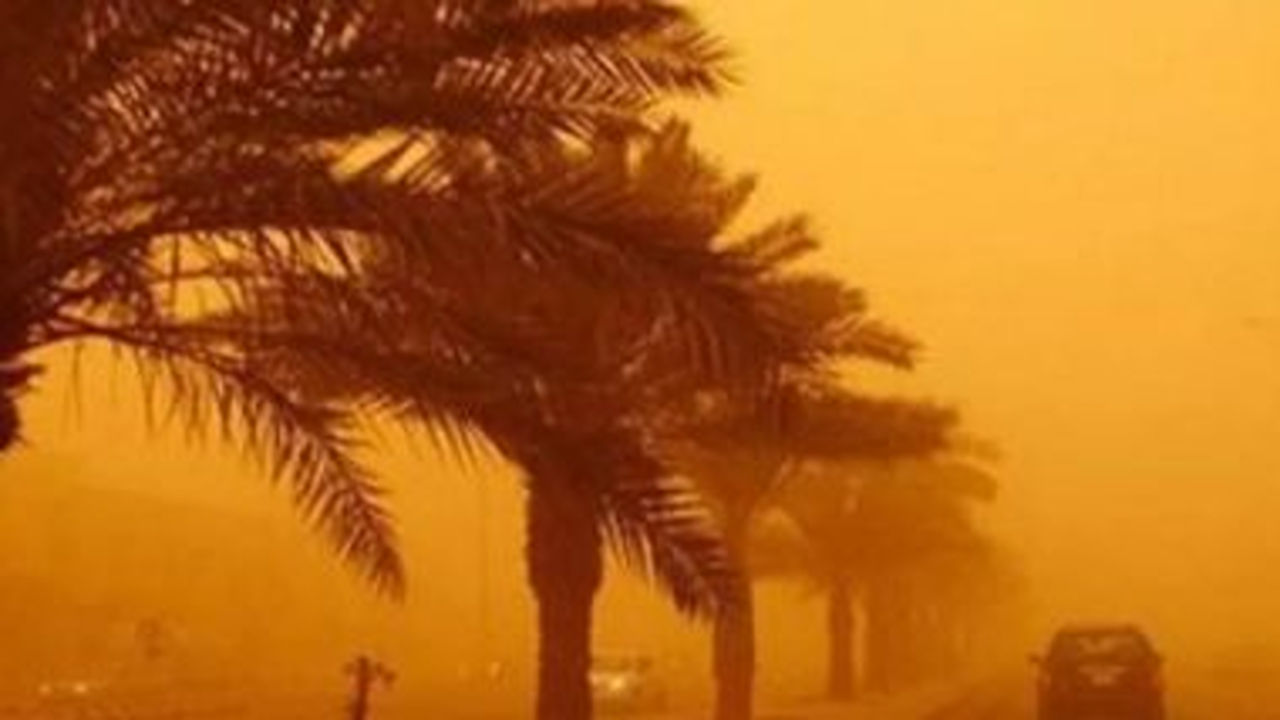 “أجواء معتدلة” طقس الجزائر غدا 2025.. استقرار في الحرارة وتحذيرات من الرياح الجافة والرطوبة
