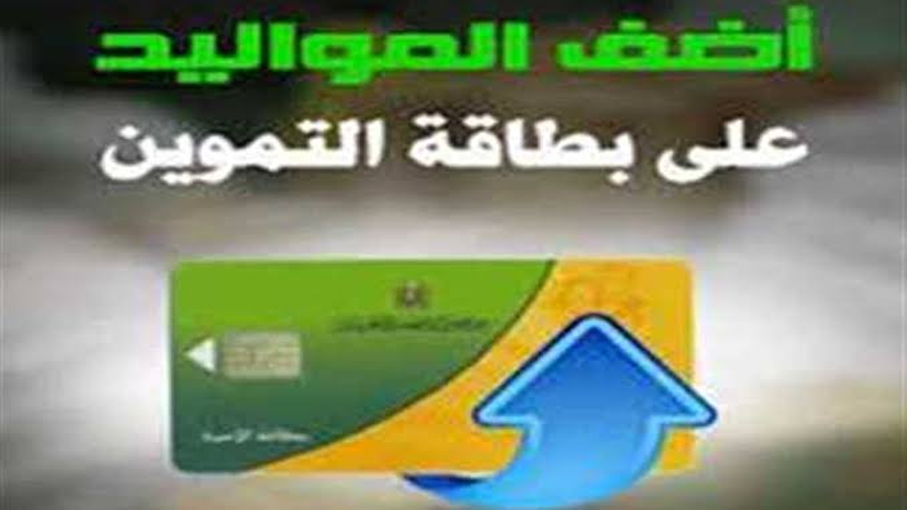 بالشروط… “إضافة المواليد وزارة التموين الفئات المستحقة وخطوات التسجيل عبر بوابة مصر الرقمية”