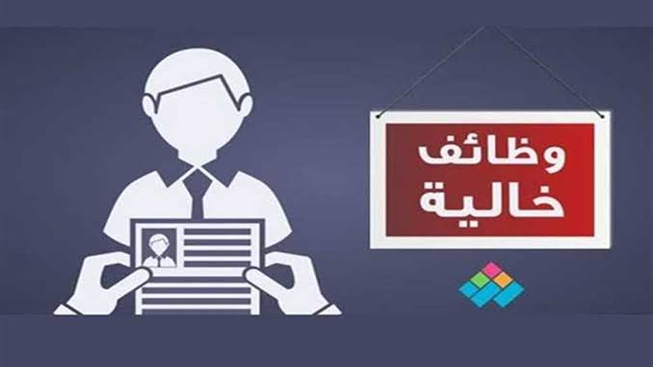 فرص عمل جديدة في شركات القطاع الخاص”.. للشباب والخريجين بمؤهلات مختلفة ورواتب مجزية
