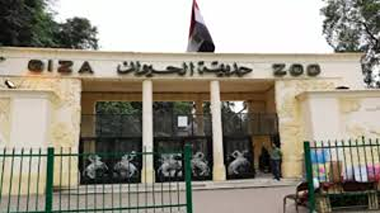 رسميا موعد افتتاح حديقة الحيوان بالجيزة .. و سعر التذكرة كام؟