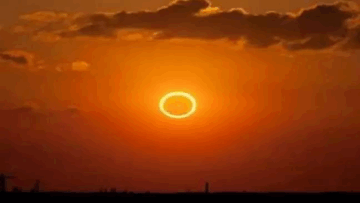 2025 7 22 6