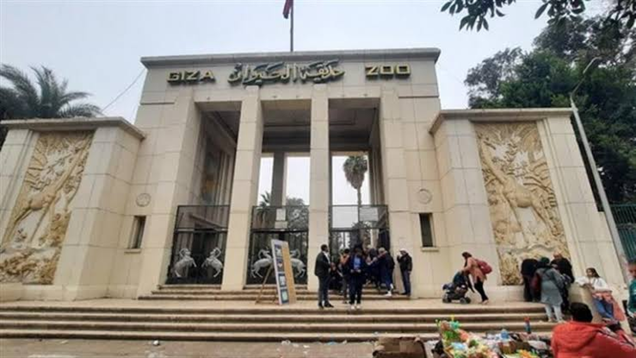 موعد افتتاح حديقة الحيوان بالجيزة بعد تطويرها الشامل.. تجربة ترفيهية وثقافية بمعايير عالمية