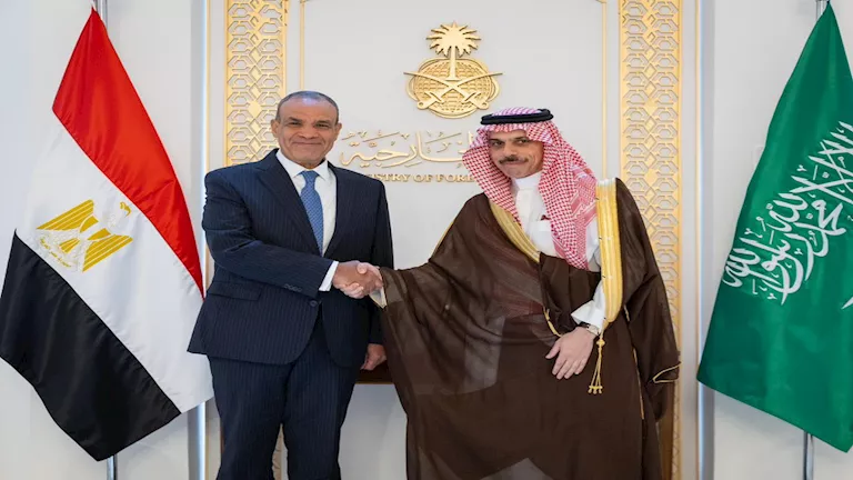 وزيرا خارجية مصر والسعودية يتضامنون في رفض قرار إسرائيل بضم كامل قطاع غزة