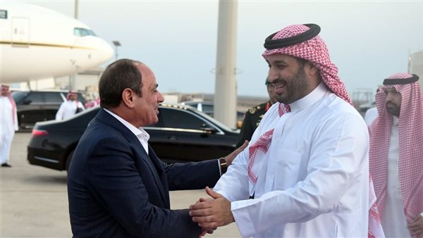 السيسي يؤكد في رسائله لقادة السعودية وقطر وفرنسا واليونان: رفض تهجير الفلسطينيين ضرورة ملحة