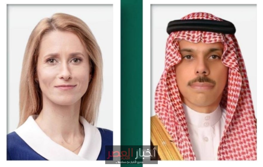 وزير الخارجية يناقش مع مسؤولة أوروبية تطورات الأوضاع في غزة وسبل وقف الانتهاكات الإسرائيلية