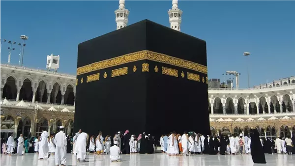 غرفة شركات السياحة تُعلن عن توقيع عقد خدمة الحج السياحي: إليكم التفاصيل الكاملة