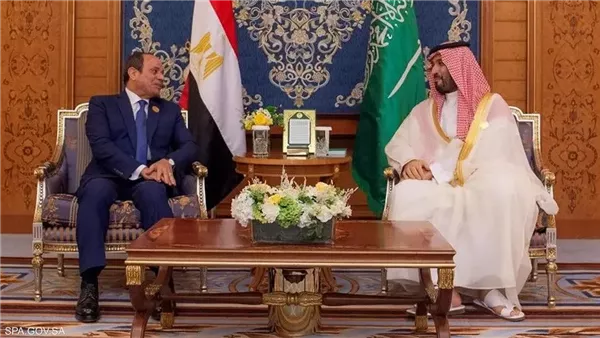 السيسي يزور السعودية ثلاث مرات لدعم القضية الفلسطينية منذ بدء حرب غزة
