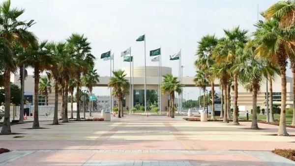 فرص العمل المتاحة في الجامعات اليوم: تعرف على أحدث الوظائف