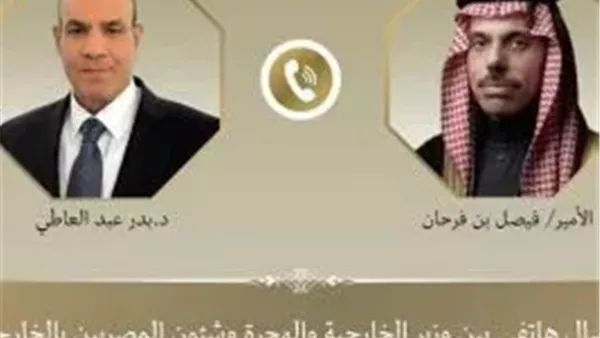 مصر والسعودية تدعوان إلى وقف إطلاق النار في غزة: تأكيد من وزيري الخارجية