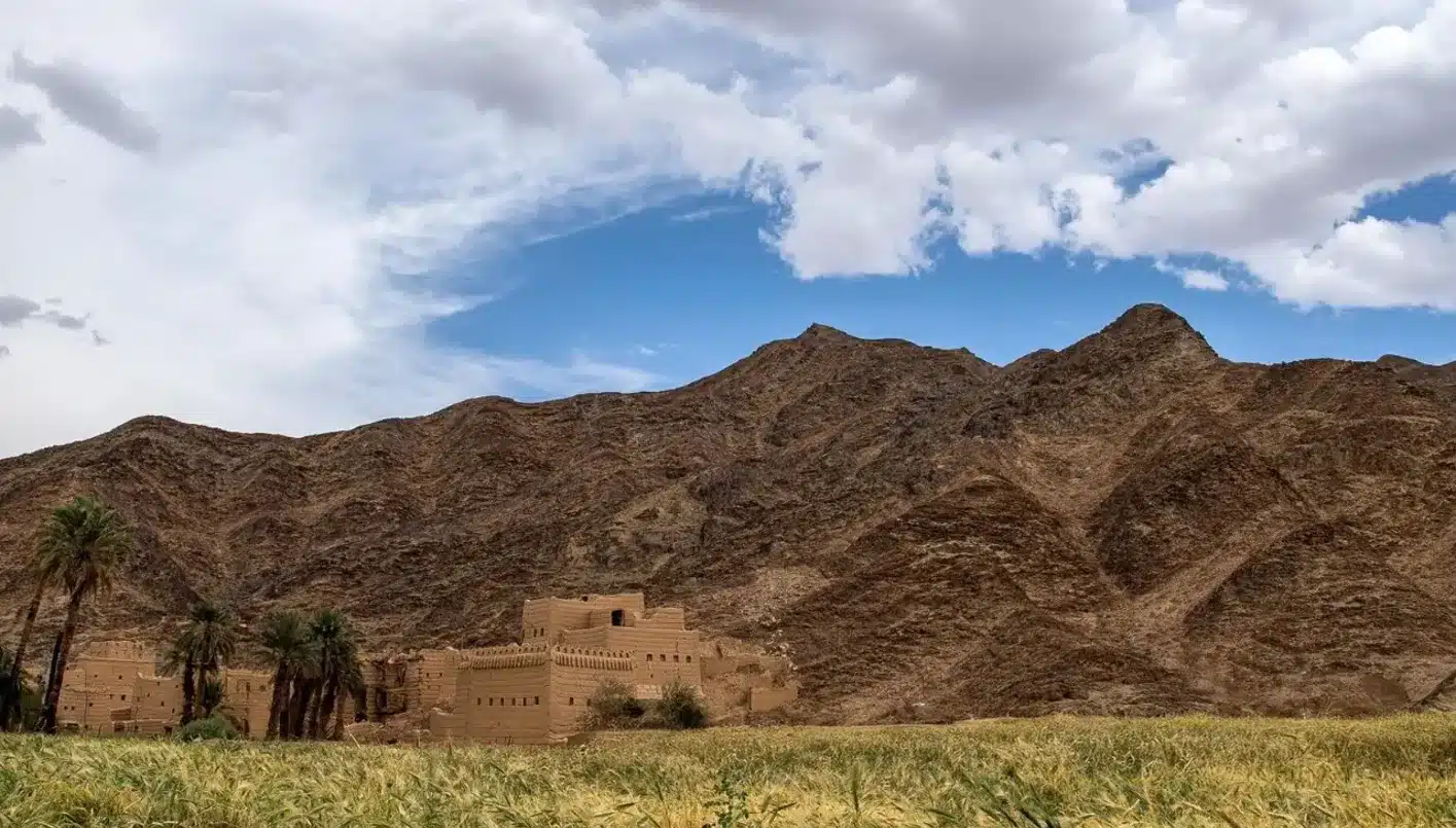 بيوت الطين وقلاع نجران: رمز الهوية الثقافية للمنطقة