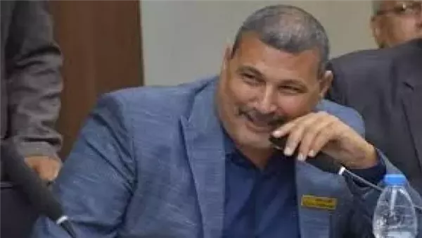 الشراكة المصرية السعودية: قوة استراتيجية لتعزيز الأمن القومي