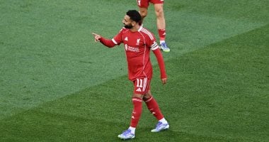 Updates on Egyptian Sports: Sunday, August 17, 2025