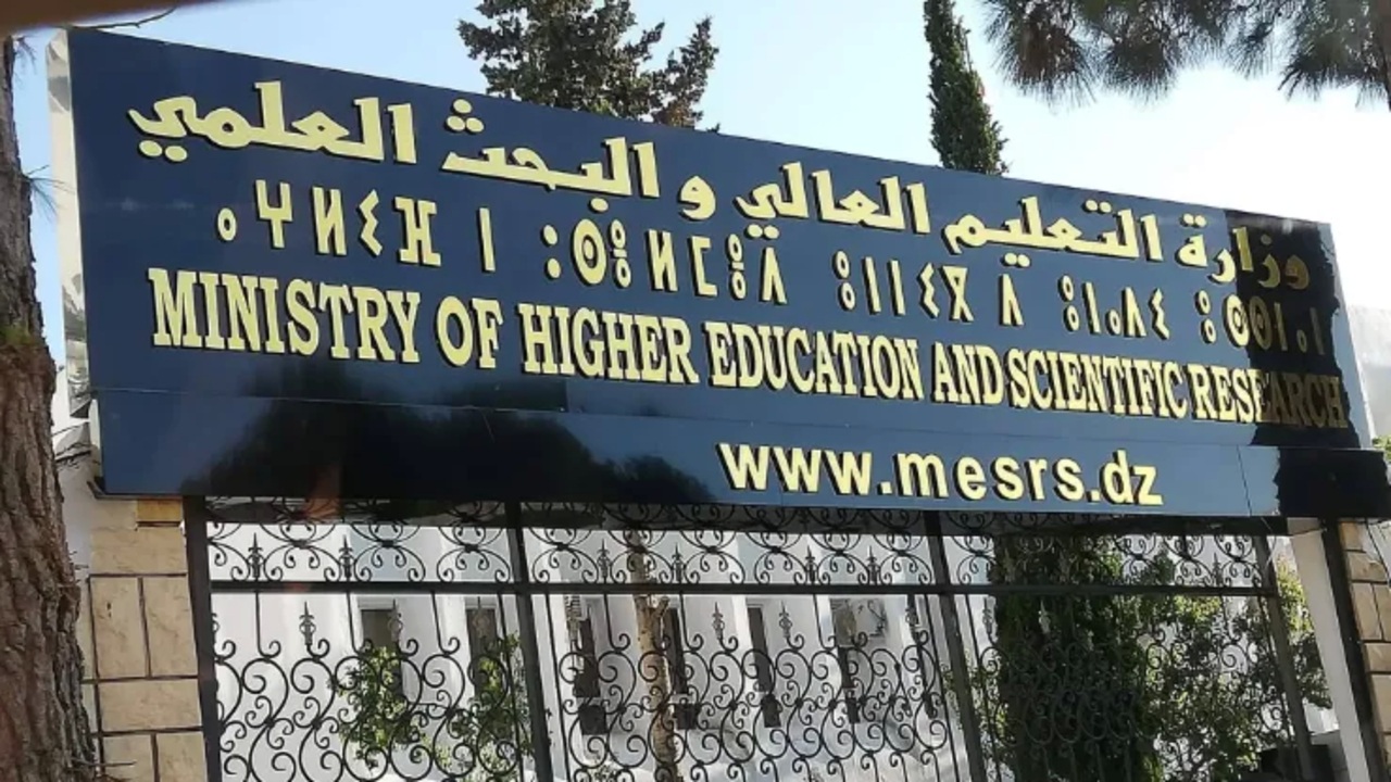 رابط نتائج توجيه حاملي شهادة البكالوريا دورة 2025.. استعلام مباشر عن التخصص الجامعي بداية من 5 أوت
