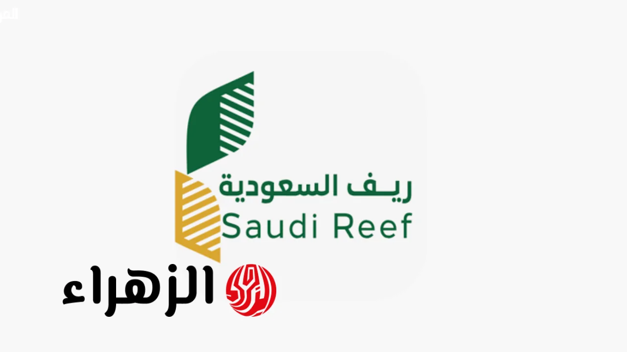 تحديث بياناتك في دعم ريف: خطوات بسيطة لضمان صرف المبلغ بدون تأخير