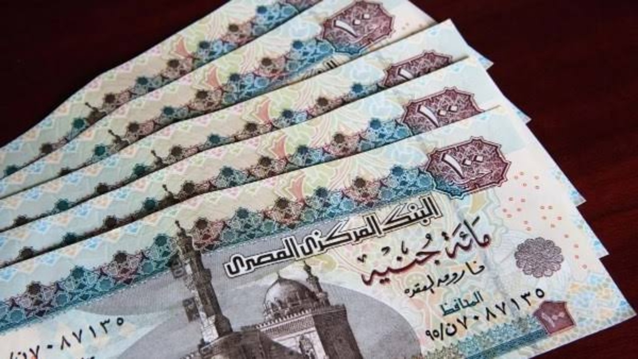 منحة العمالة غير المنتظمة بقيمة 1500 جنيه بمناسبة المولد النبوي الشريف.. وبرنامج دعم سنوي متكامل من وزارة العمل لهذه الفئة