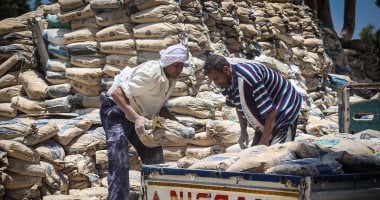 أسعار الأسمنت تتجاوز 4000 جنيه للطن في السوق اليوم الإثنين 11 أغسطس 2025