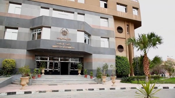 إكتشاف مسار أكاديمي متميز شعبة اللغات في كلية التجارة وإدارة الأعمال بجامعة حلوان