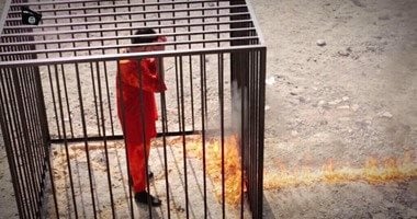 استئناف قاتل الطيار الكساسبة: تطورات جديدة في قضية حبسه