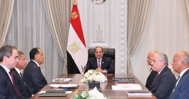 السيسى: ضرورة توفير البيانات للإعلام لتعزيز الشفافية