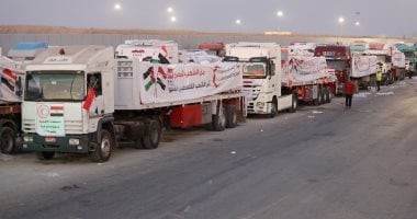 القافلة الإنسانية الخامسة عشر تصل إلى غزة عبر رفح