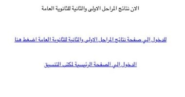 المرحلة الثانية: احصل على نتائجك من خلال رابط التنسيق الجديد