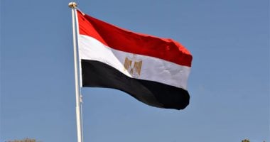 المصريون في النمسا: دعم للقيادة والتضامن مع فلسطين