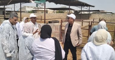 انطلاق حملة شاملة لتحصين الماشية ضد الحمى القلاعية بدءًا من السبت المقبل