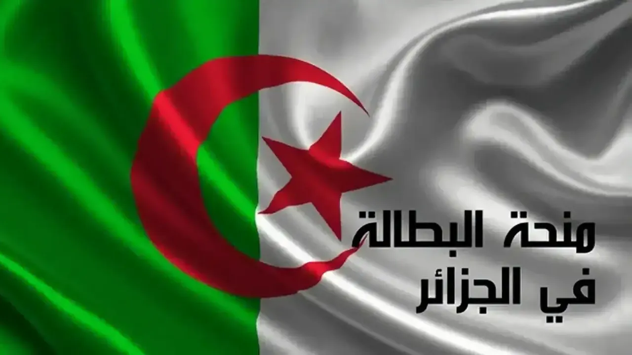 فرصة مضمونة”.. تجديد منحة البطالة 2025 في الجزائر عبر الوكالة الوطنية للتشغيل بخطوات سهلة وشروط واضحة