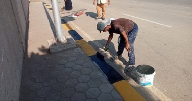 تجميل الطرق وتحسين البيئة في البدرشين والقرى المجاورة