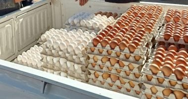 تحديث أسعار البيض في كفر الشيخ – السبت 16 أغسطس 2025