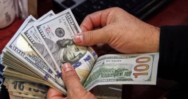 تحديث أسعار الدولار مقابل الجنيه في البنك المركزي المصري
