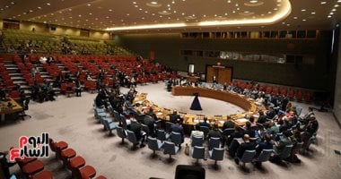 مجلس الأمن يرفض إقامة سلطة بديلة في مناطق النفوذ السريع بالسودان