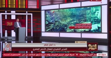 مساعدات إنسانية: دخول 36 ألف شاحنة من مصر إلى غزة منذ أكتوبر 2023
