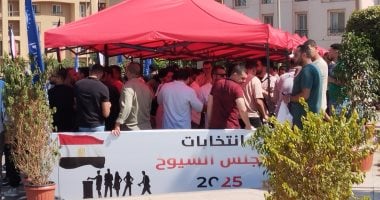 مصر تستعد للإعلان عن نتائج انتخابات مجلس الشيوخ 2025 غدًا