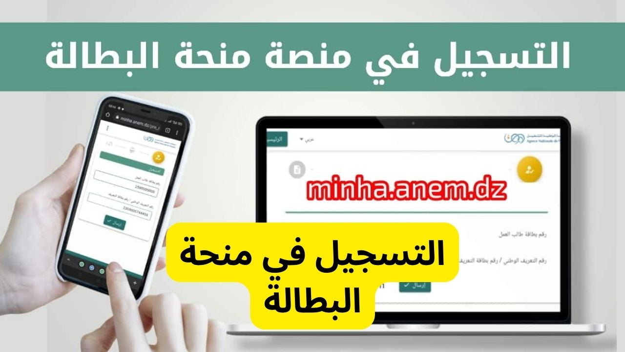 “فرصة مضمونة”.. تجديد منحة البطالة 2025 في الجزائر بخطوات سهلة وشروط واضحة