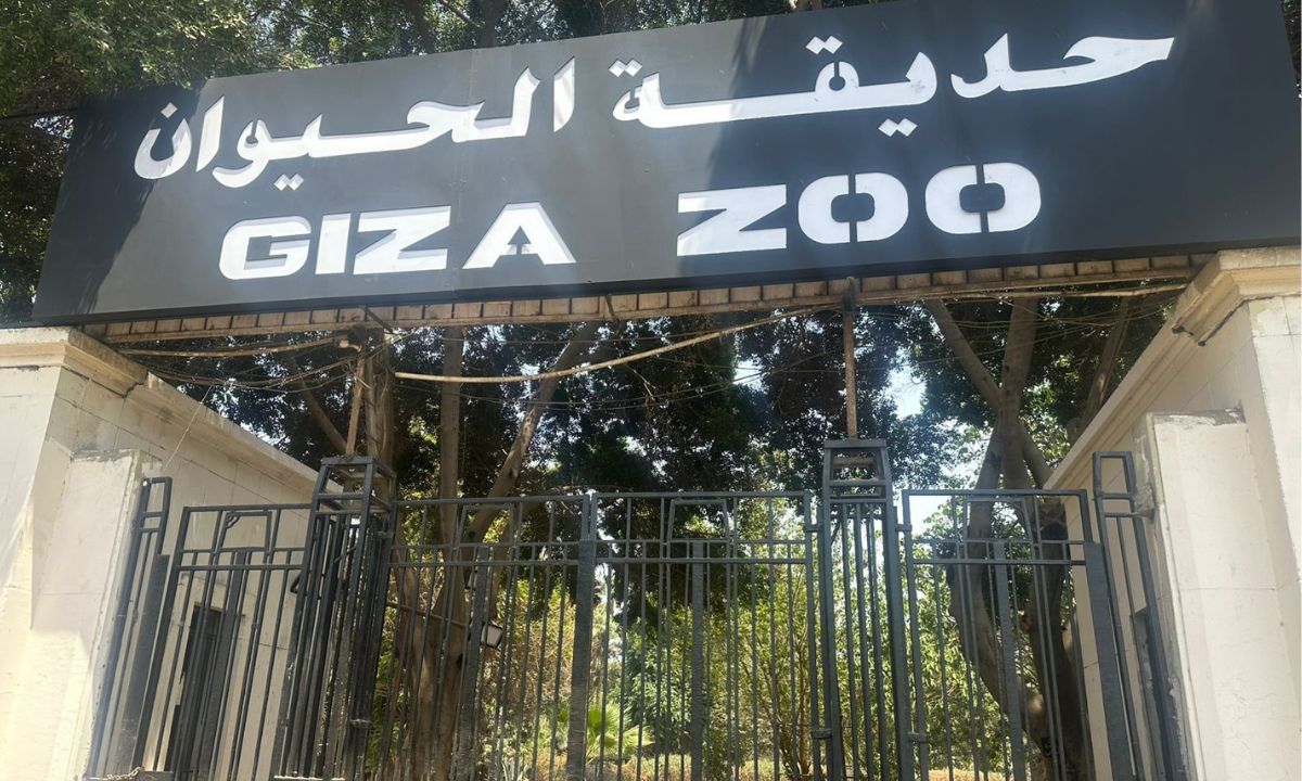 بعد أشهر من الإغلاق” موعد افتتاح حديقة الحيوان بالجيزه 2025 .. مفاجآت وخدمات جديدة لأول مرة بعد التطوير الشامل