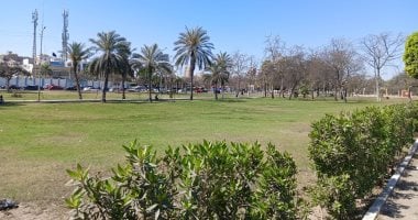 طقس مصر غدا يشهد ارتفاعا في درجات الحرارة مع توقعات بأمطار والعظمى بالقاهرة تصل إلى 31 درجة