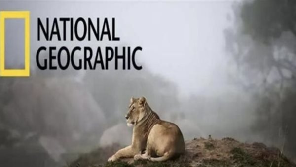 تردد قناة ناشيونال جيوغرافيك الجديد لعام 2025 على نايل سات وعرب سات لتجربة مشاهدة مميزة ومثيرة