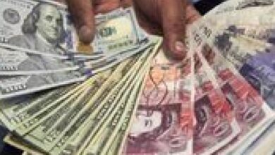 أسعار العملات اليوم بين استقرار ظاهر وتوقعات مستقبلية تشير إلى تغيرات محتملة